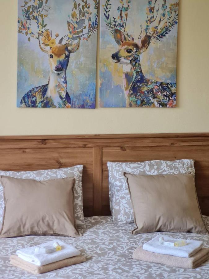 Banská Štiavnica Villa Paradajs - Ubytovanie Pri Jazere מראה חיצוני תמונה